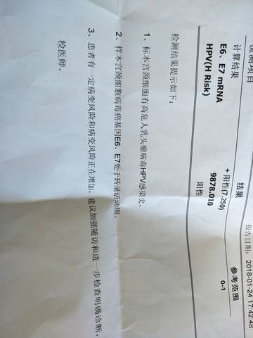 journal_insert_pic_943349425