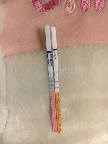 journal_insert_pic_944287437