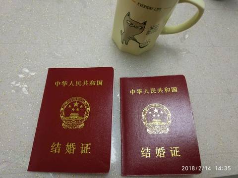 journal_insert_pic_944567660