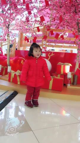 journal_insert_pic_946942323