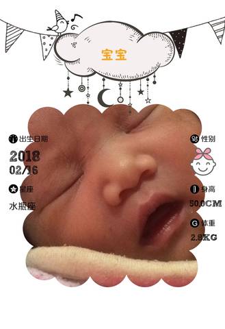 journal_insert_pic_947906700