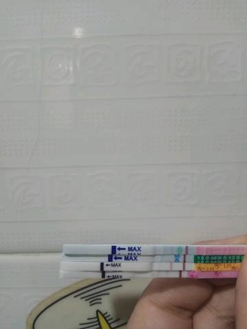 journal_insert_pic_947963872