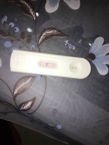 journal_insert_pic_949529733