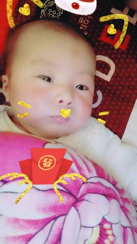 journal_insert_pic_950139662