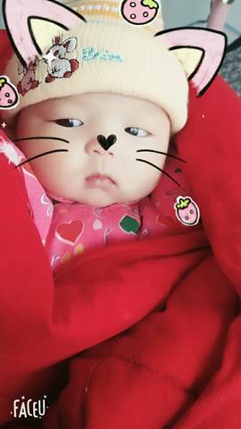 journal_insert_pic_950815136