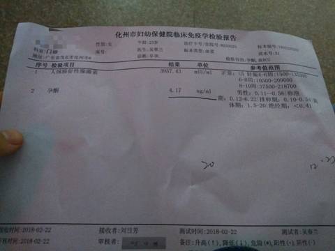journal_insert_pic_950866569