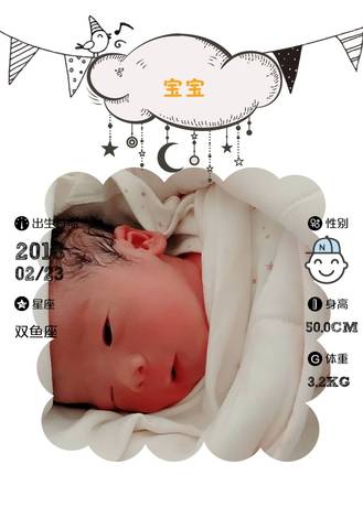 journal_insert_pic_951143378