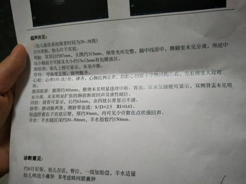 journal_insert_pic_952140154