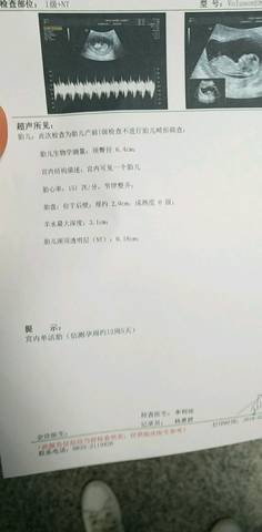 journal_insert_pic_952154983