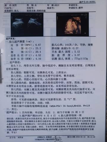 journal_insert_pic_952204472