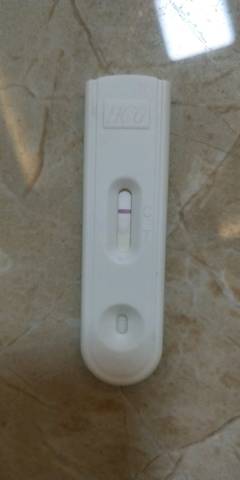 journal_insert_pic_953607328