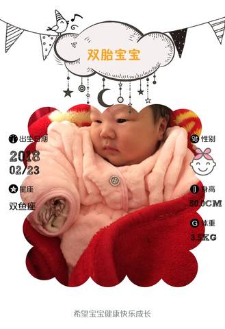 journal_insert_pic_953469469