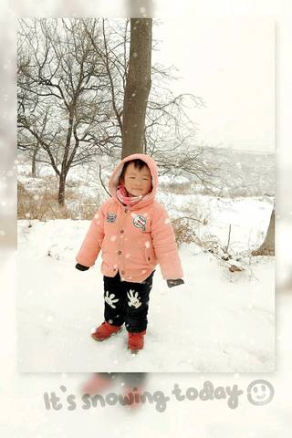 journal_insert_pic_953673251