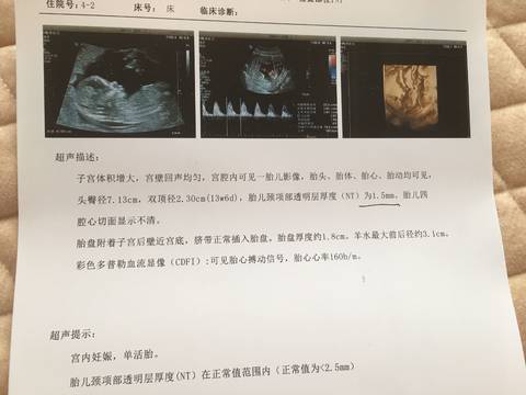 journal_insert_pic_953229889