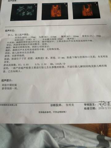 journal_insert_pic_954033935