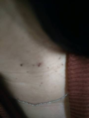 journal_insert_pic_954324331