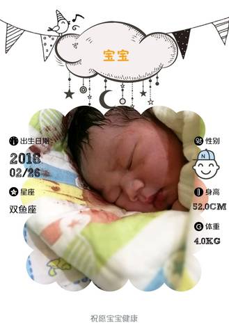 journal_insert_pic_954120729