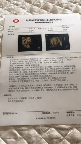 journal_insert_pic_954139235