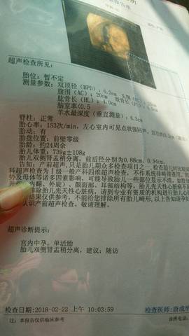 journal_insert_pic_954696716