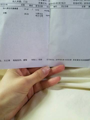 journal_insert_pic_955603003
