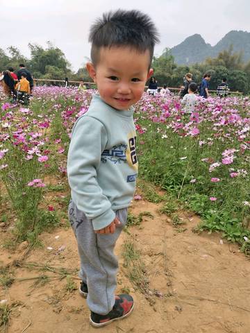 journal_insert_pic_955513785