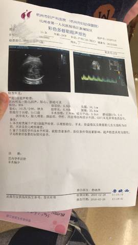 journal_insert_pic_955914298