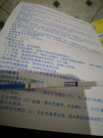 journal_insert_pic_955497963
