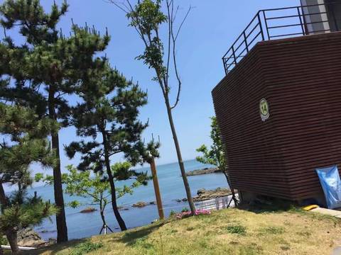 journal_insert_pic_956302126