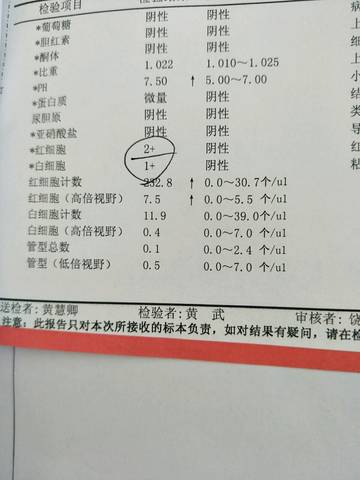 journal_insert_pic_956511478
