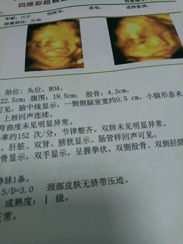 journal_insert_pic_956634517