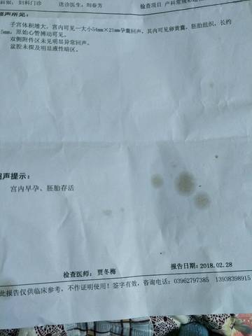 journal_insert_pic_956312666