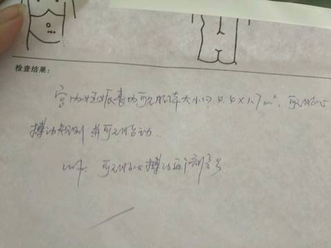 journal_insert_pic_957224515
