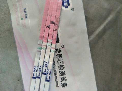 journal_insert_pic_957222670
