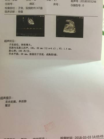 journal_insert_pic_958493381