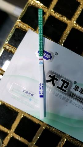 journal_insert_pic_959150396