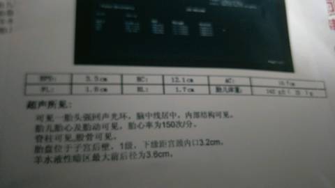 journal_insert_pic_960005385