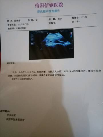 journal_insert_pic_959759727