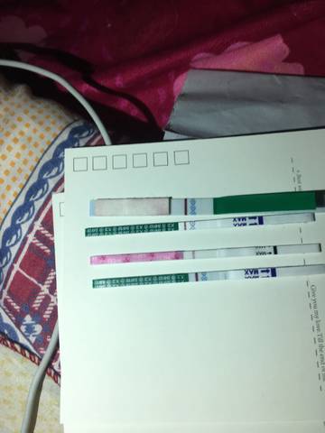 journal_insert_pic_960752518