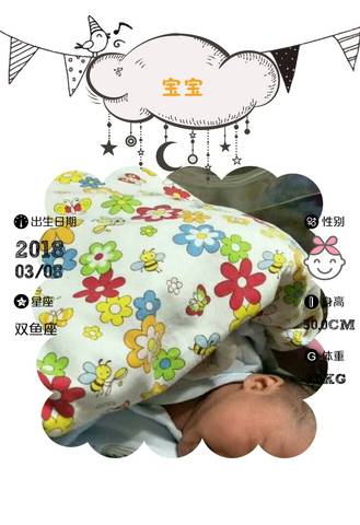 journal_insert_pic_962126528