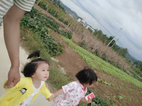 journal_insert_pic_962361897