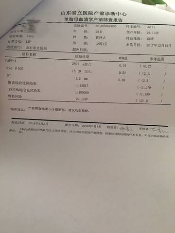journal_insert_pic_962064672