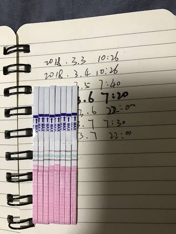 journal_insert_pic_961934910