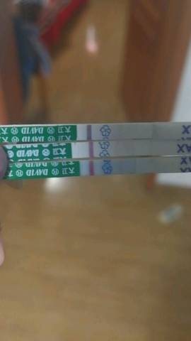 journal_insert_pic_962059876