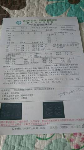 journal_insert_pic_963045116