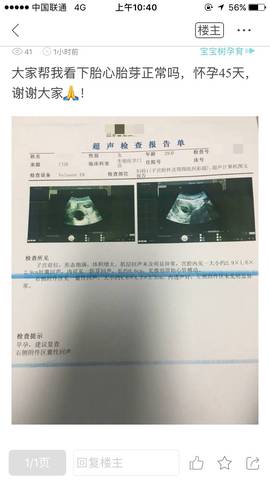journal_insert_pic_962536436