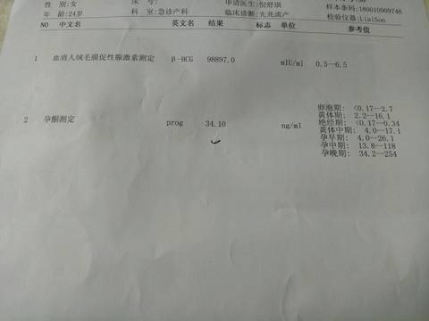 journal_insert_pic_963485166