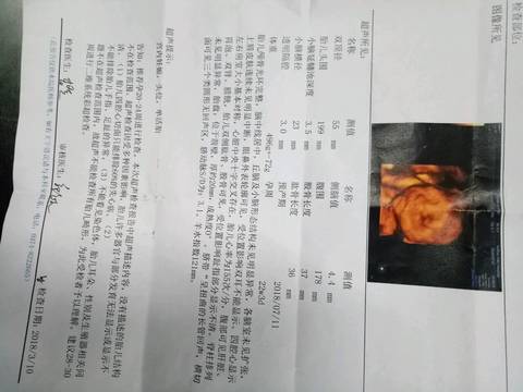 journal_insert_pic_963588091