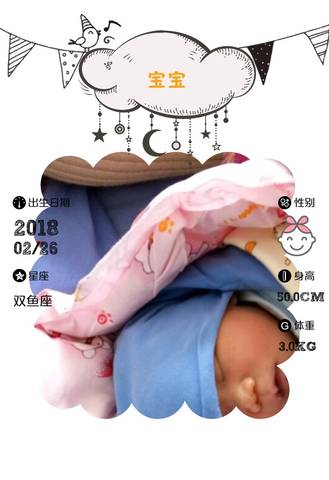 journal_insert_pic_963631895