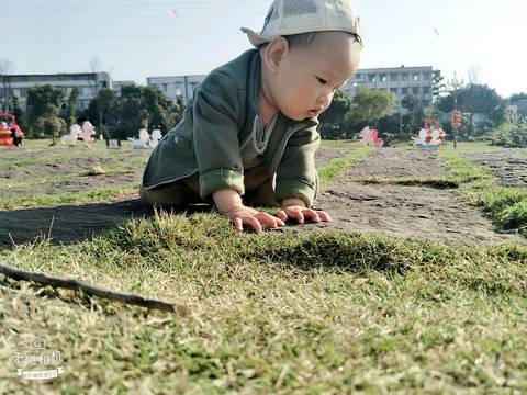 journal_insert_pic_963518827