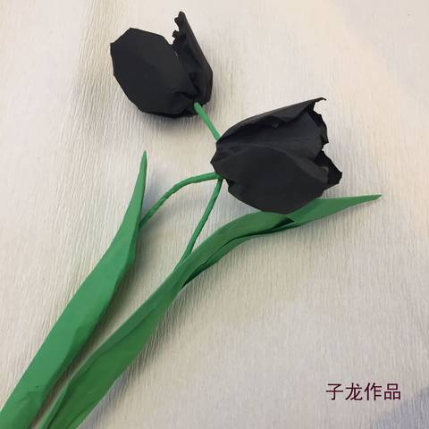 journal_insert_pic_964043745
